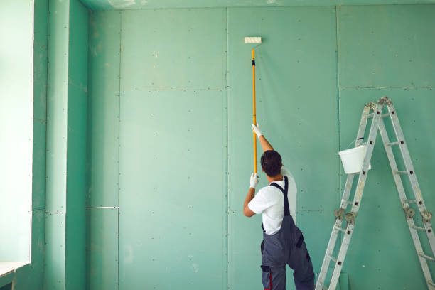 Best Real Estate Mold Inspection  in St Bonaventure, NY