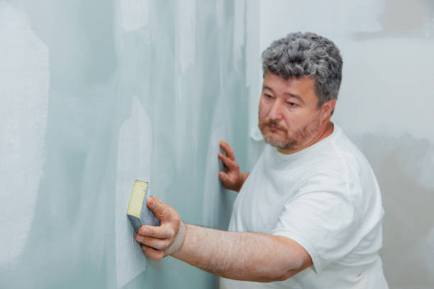 Best Mold Odor Removal Services  in St Bonaventure, NY
