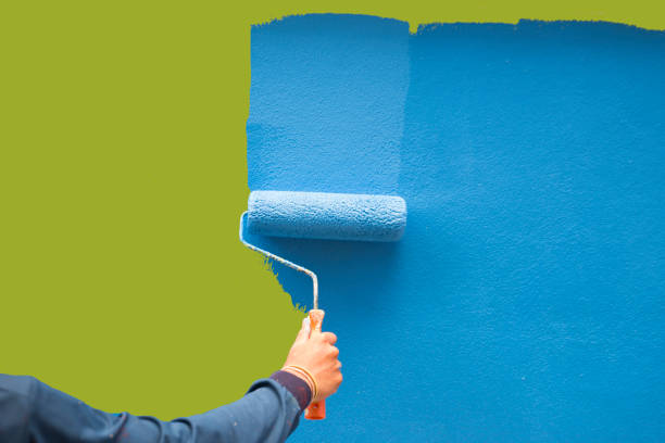 Best Environmental Consulting for Mold Prevention  in St Bonaventure, NY